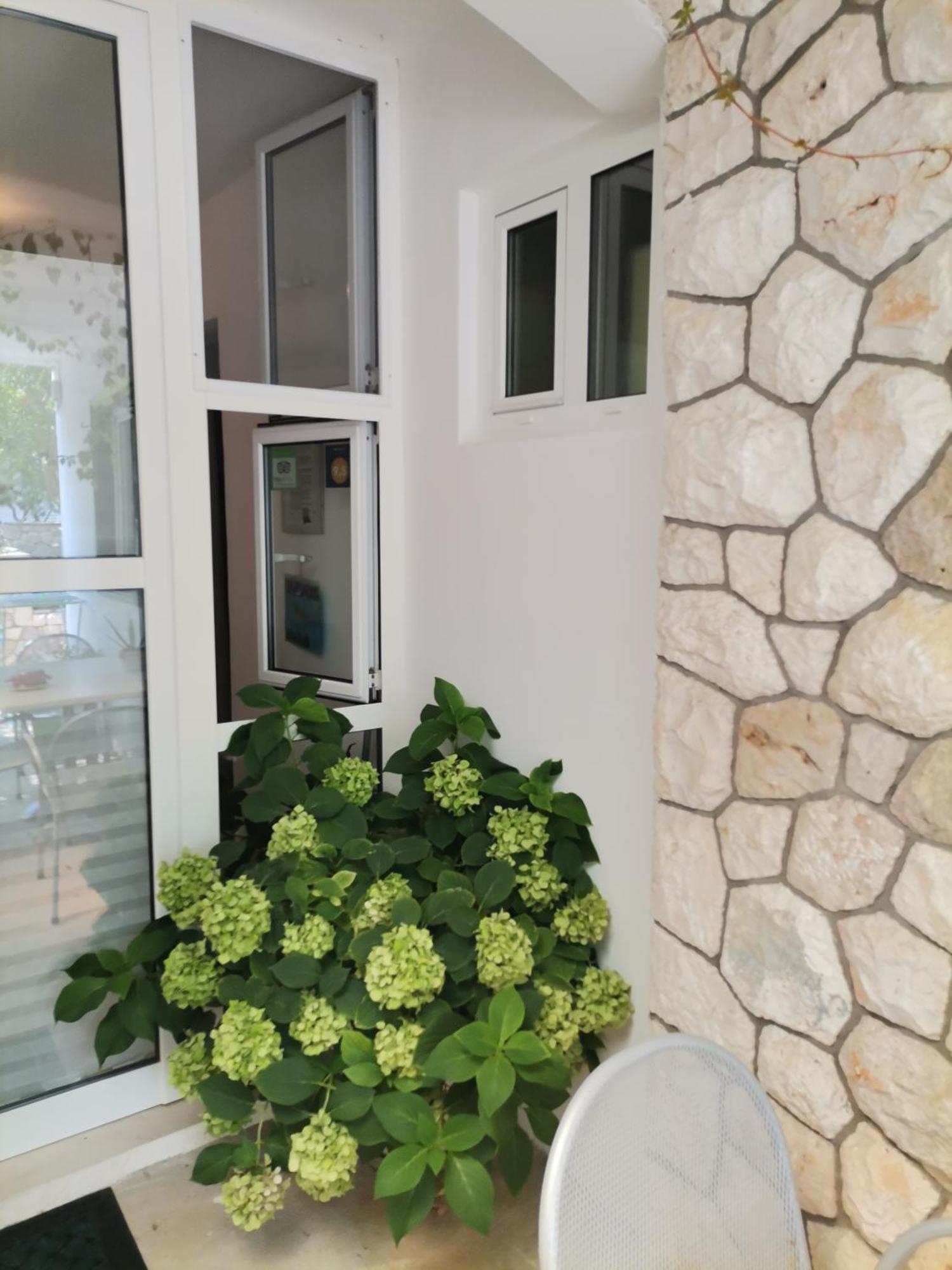 Apartments Green & Orange フヴァル 部屋 写真